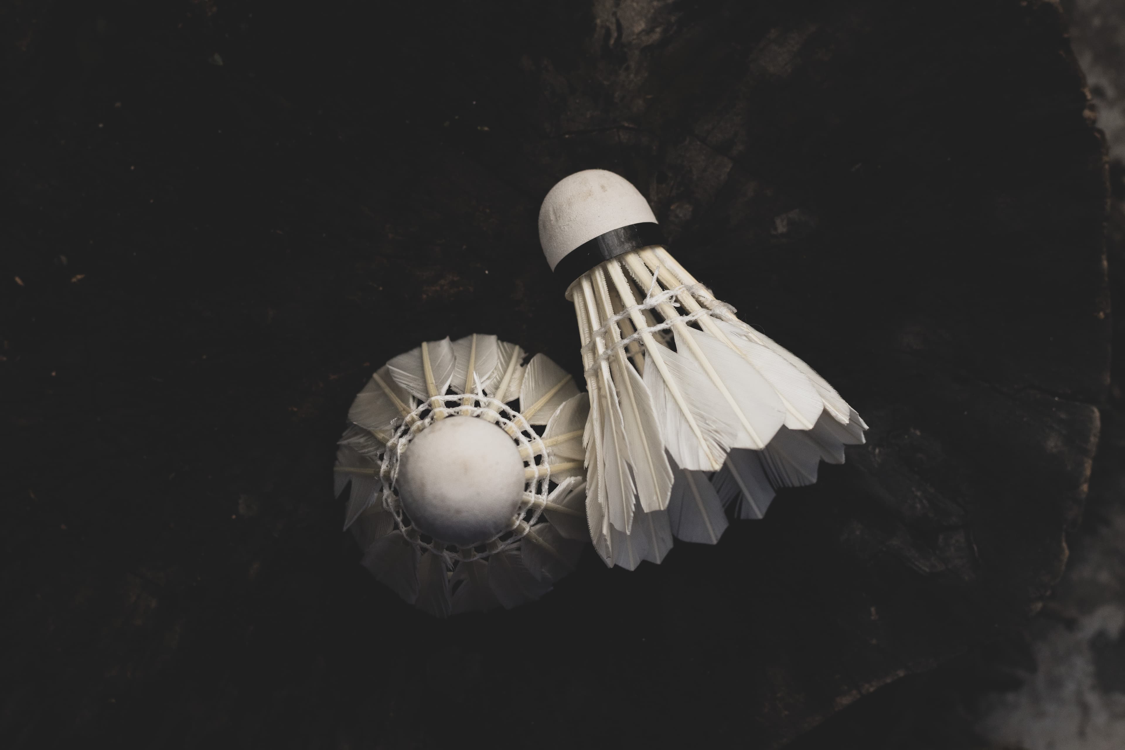 Badminton